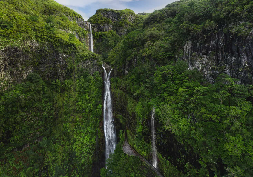 Entdecken Sie Cascata da Aguage: Madeiras bestgehüteter geheimer Wasserfall