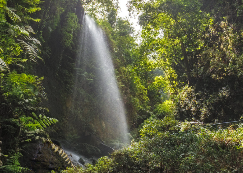 „Entdecken Sie die Wunder von Los Tilos: 8 wichtige Fakten über den Wasserfall von La Palma“
